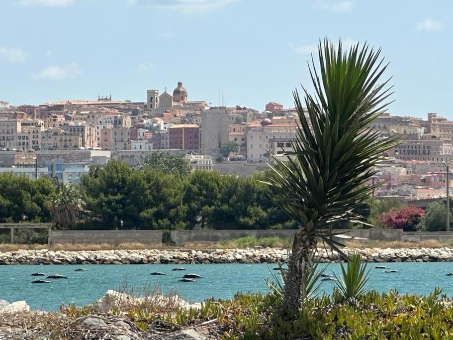 Un Passo Dal Mare E Dalla Citta. Cagliari Eksteriør billede